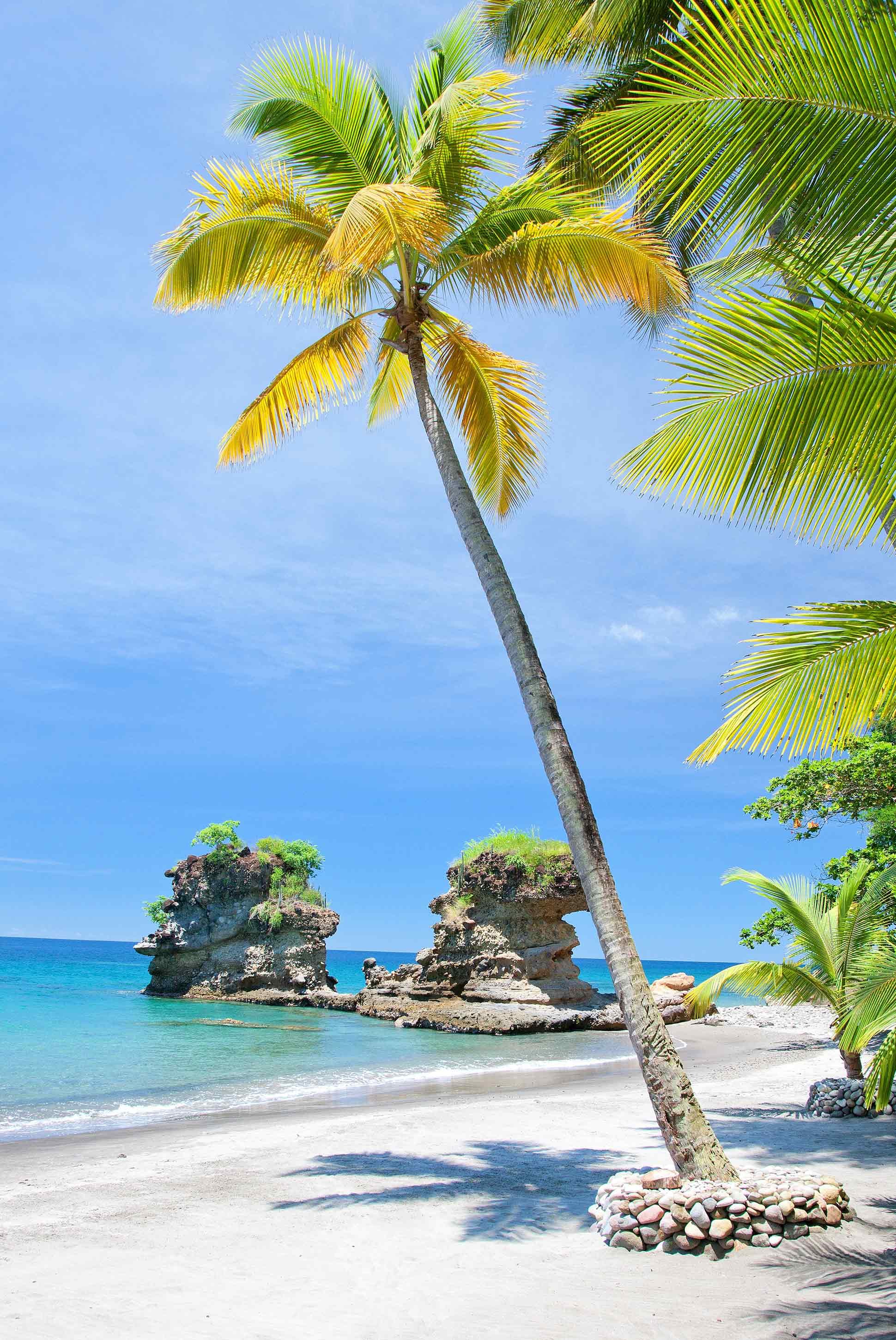 Resort de luxe romantique Anse Chastanet Resort 5 étoiles Sainte-Lucie Caraïbes plage paradisiaque