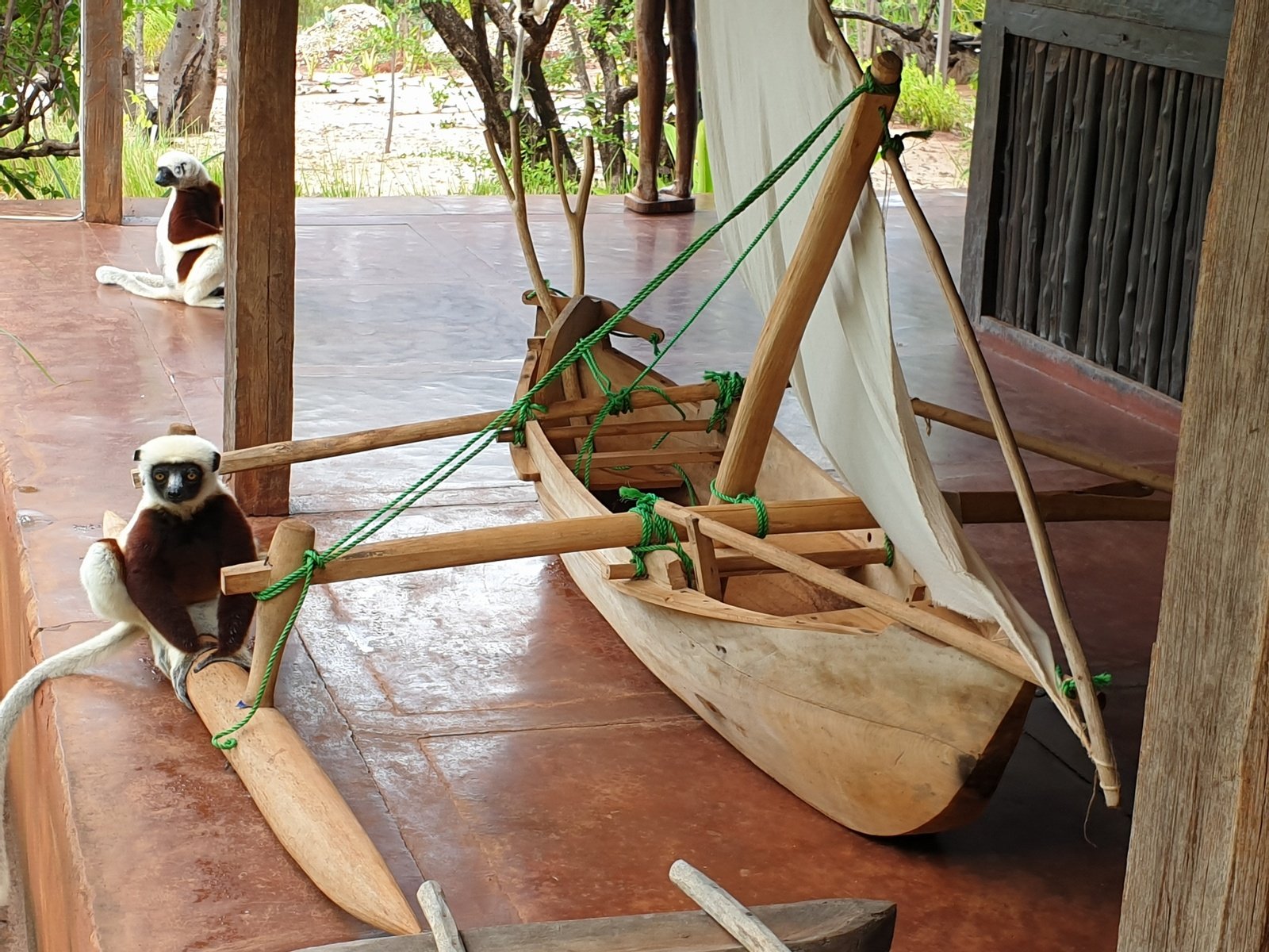 Lodge des Terres Blanches - boutique-hôtel éco-responsable Mahajunga Madagascar - la réserve des lémuriens