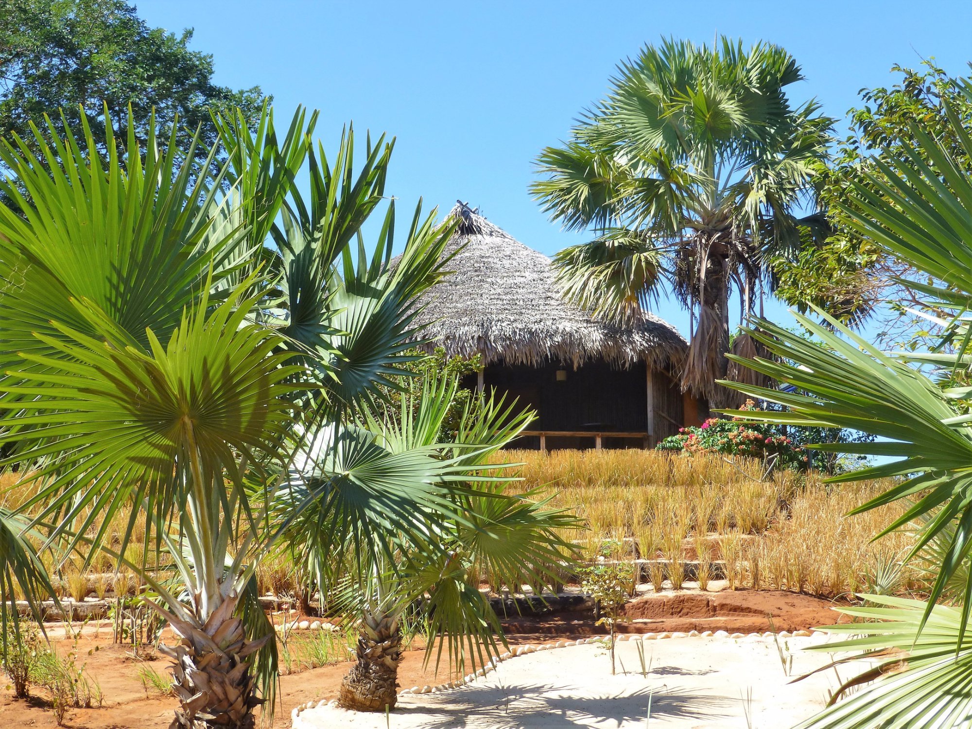 Lodge des Terres Blanches - eco-responsible hotel - Mahajunga Madagascar - authentic lodge