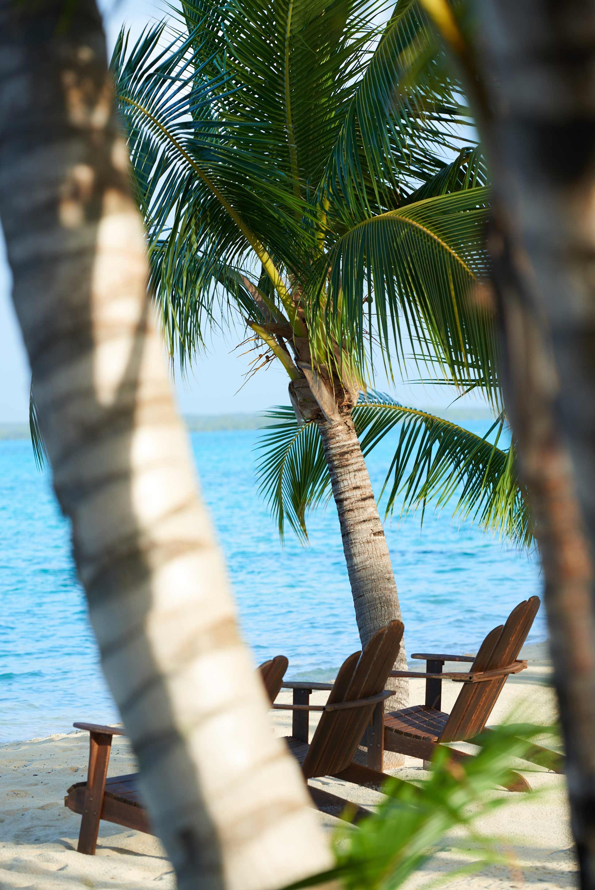 Ecolodge Tiamo Resort 5 étoiles Caraïbes Bahamas plage