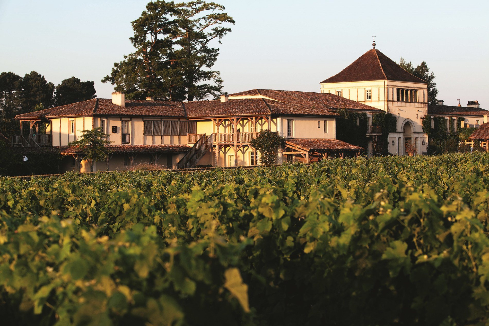 luxury hotel Les Sources de Caudalie 5 stars Martillac Bordeaux France vines of Château Smith Haut Lafitte